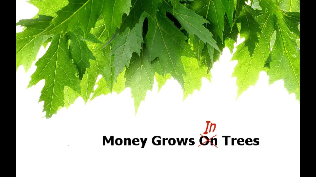 Money Grows On Trees