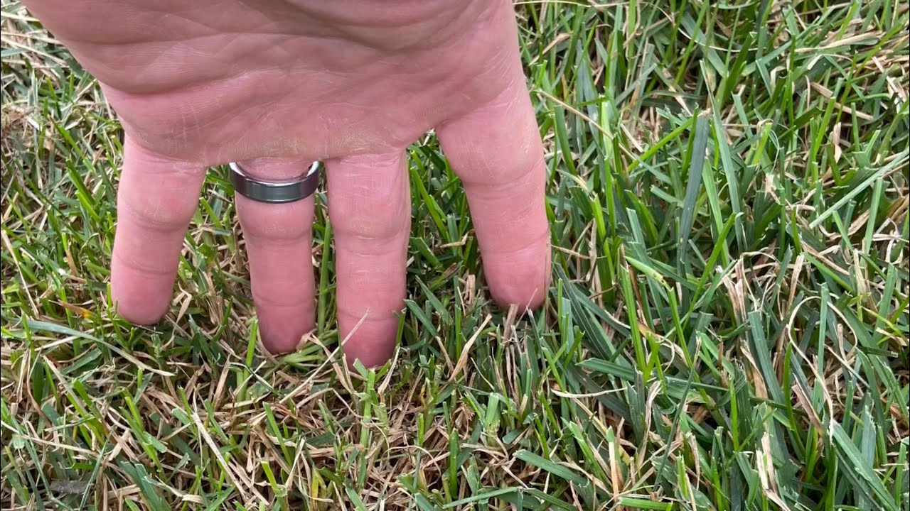 Preparing Your Lawn For A Slice Seeding
