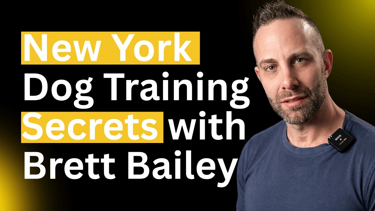 Master the Concrete Jungle: New York Dog Training Secrets with Brett Bailey