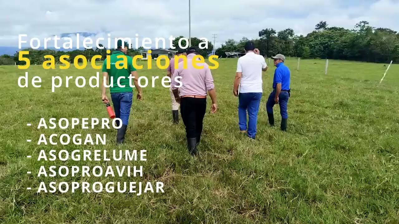 Ganadería Baja en Carbono en el Sur del Meta