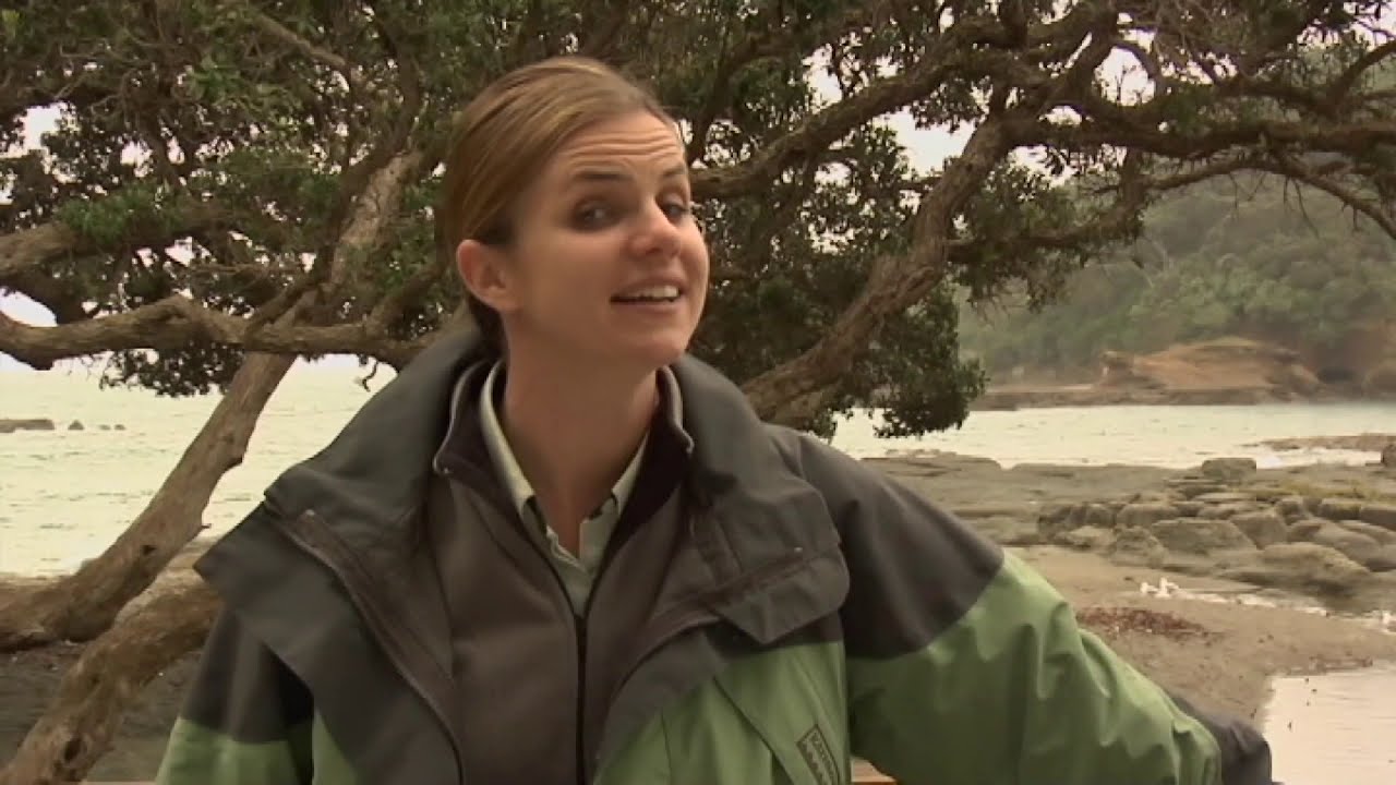 Meet the Locals: Goat island
