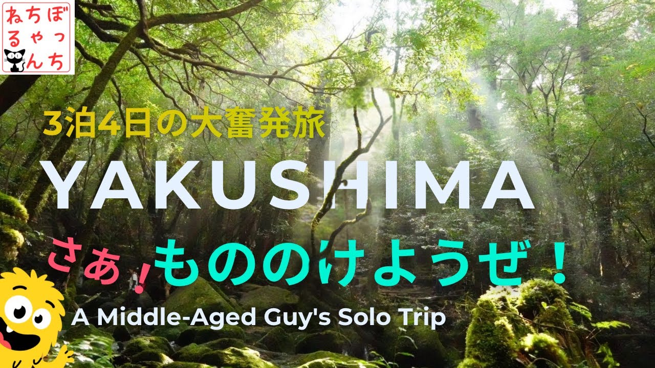 【40代ぼっち旅】屋久島の森で、コミュ障がひたすら苦しんだ3泊4日。（縄文杉 / 白谷雲水峡）