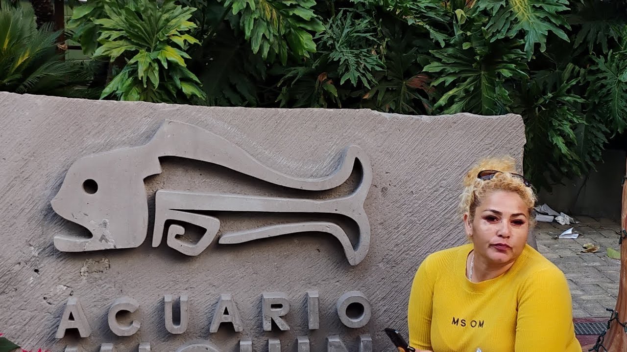 Acuario Michin 