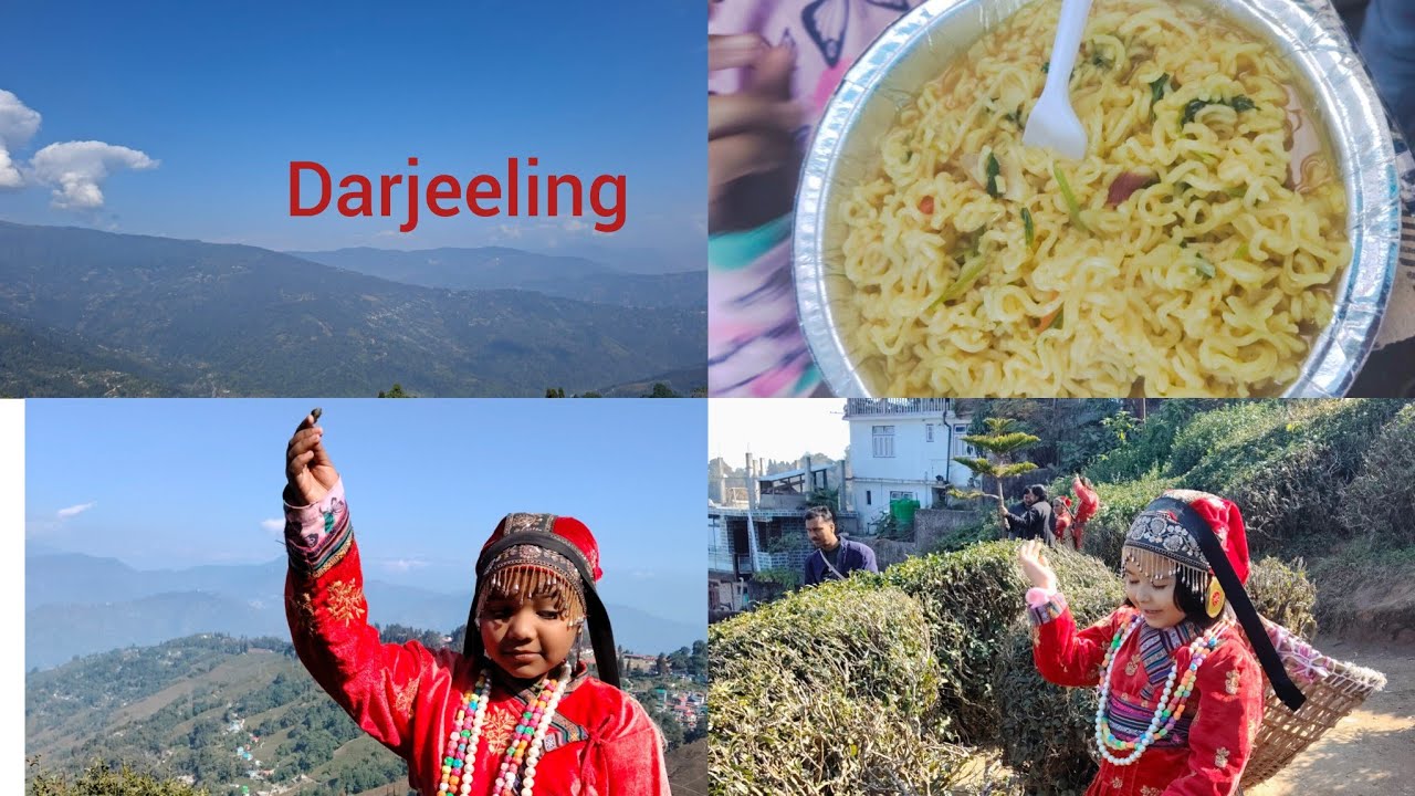 ।। Darjeeling ।। সারাদিন ঘুরে দেখলাম শহরটি 🏞️🌄🌄