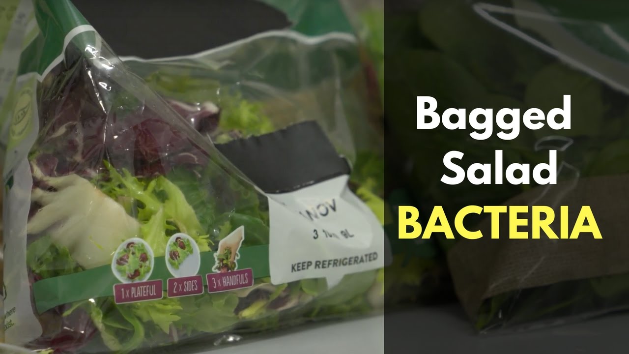 Bagged Salad: Breeding Ground For Bacteria?