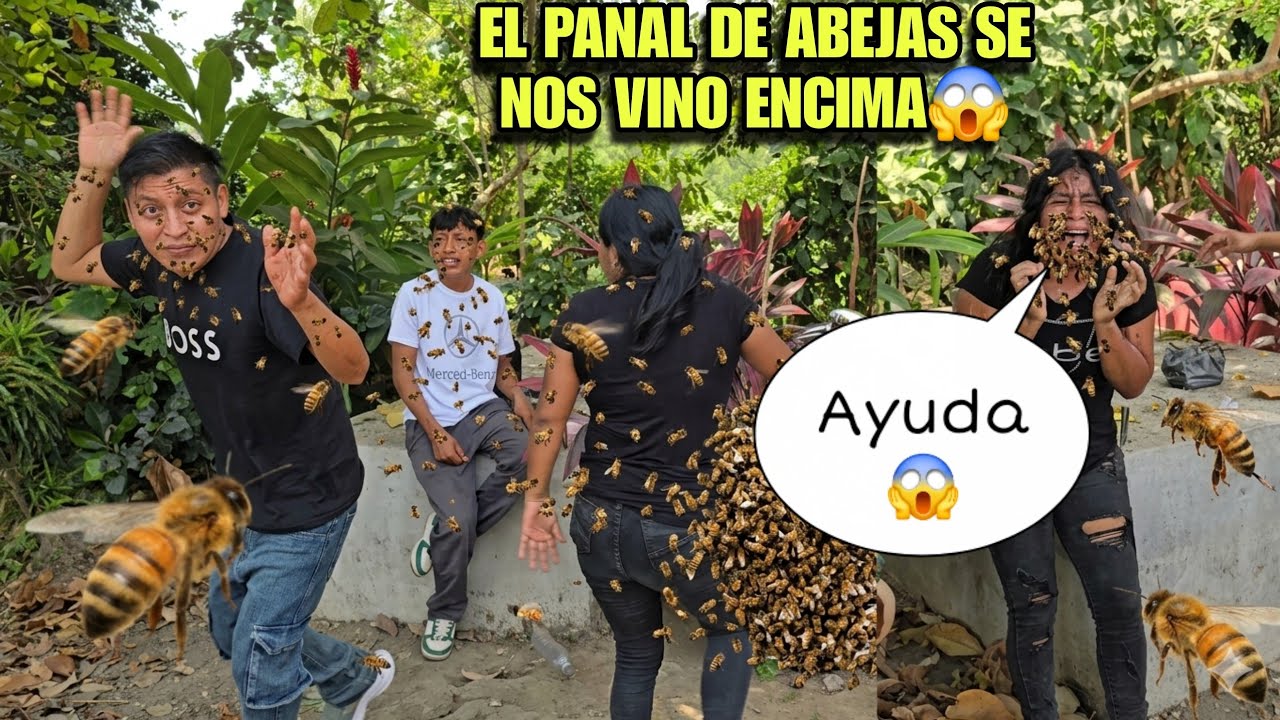 Santo Dios Miles De Abejas Nos Atacan En aplena Celebración Del Millon, Salimos Huyendo😱