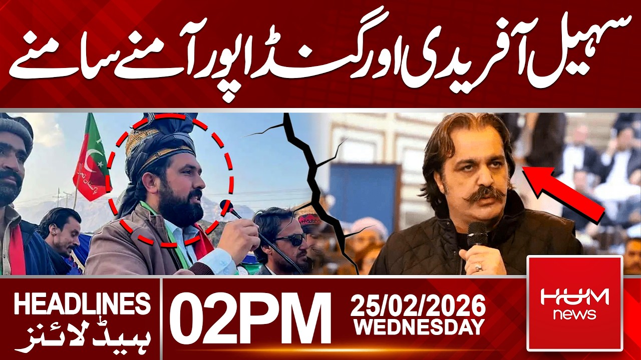 Sohail Afridi and Ali Amin Gandapur Face-to-Face | 2 PM Headlines | Hum News | Pakistan