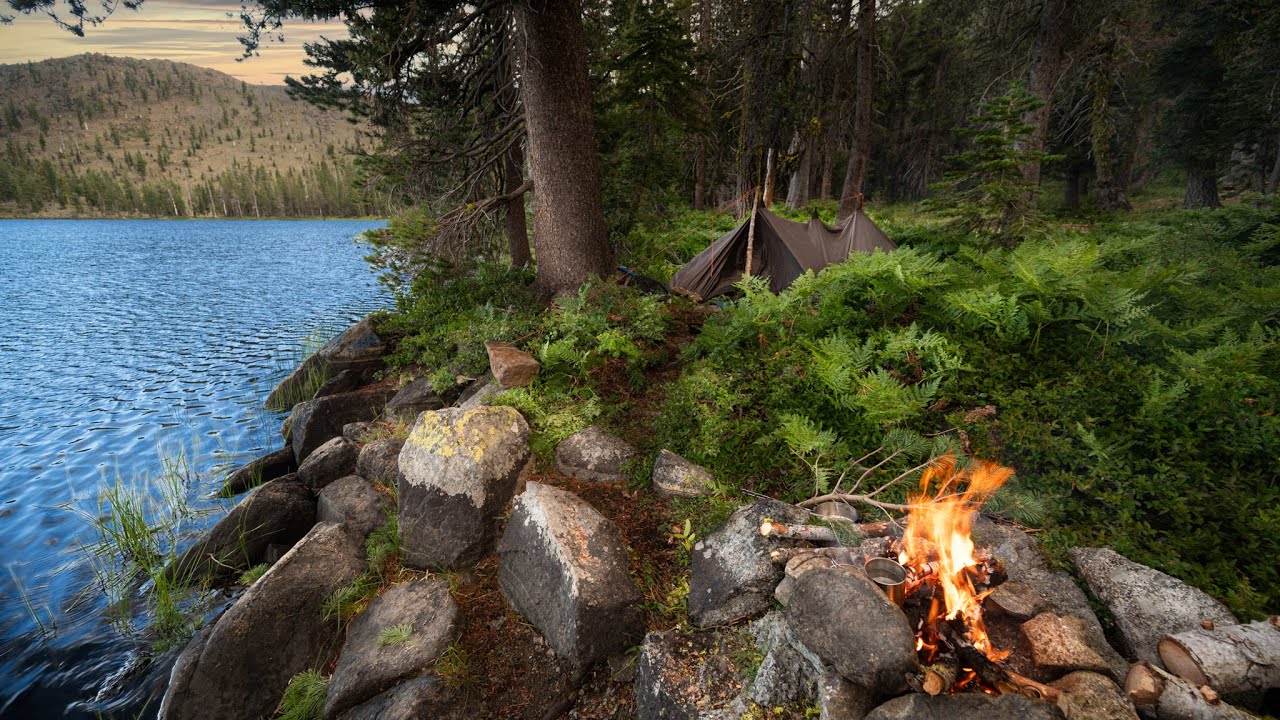 2 days SOLO Camping Mountain Trout Catch & Cook (I failed!)