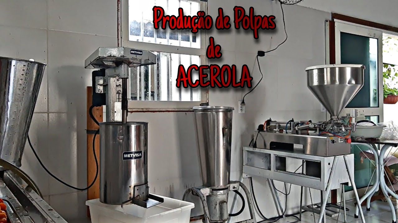 Produção de Polpas de Frutas.