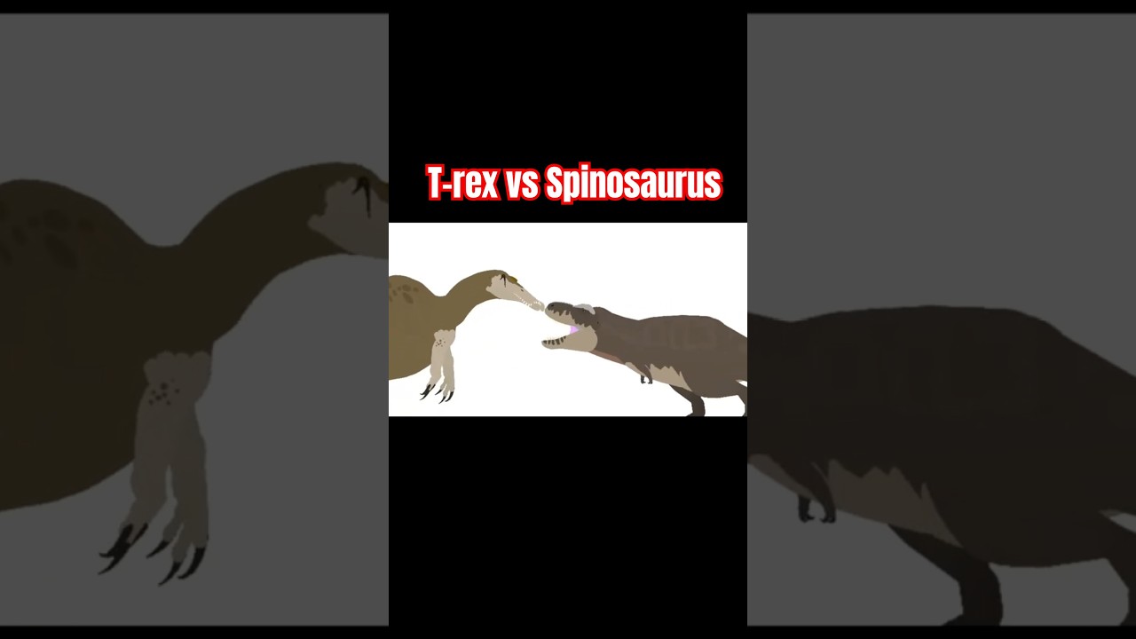 T rex Vs Spinosaurus animation #dinosaur #jurassicworld #trex #spinosaurus #vs #godzilla #animation