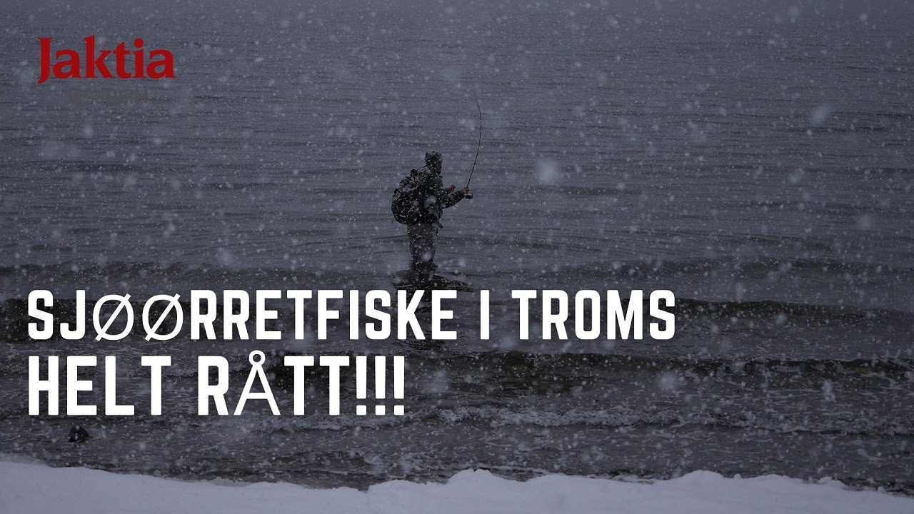 Tidlig sjøørret fiske i Troms - Fantastisk opplevelse!