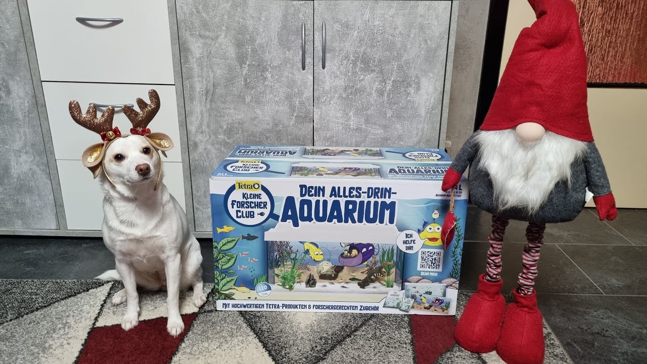 Aquarien Vorstellung, Tetra Starter Line 54L + Gewinnspiel