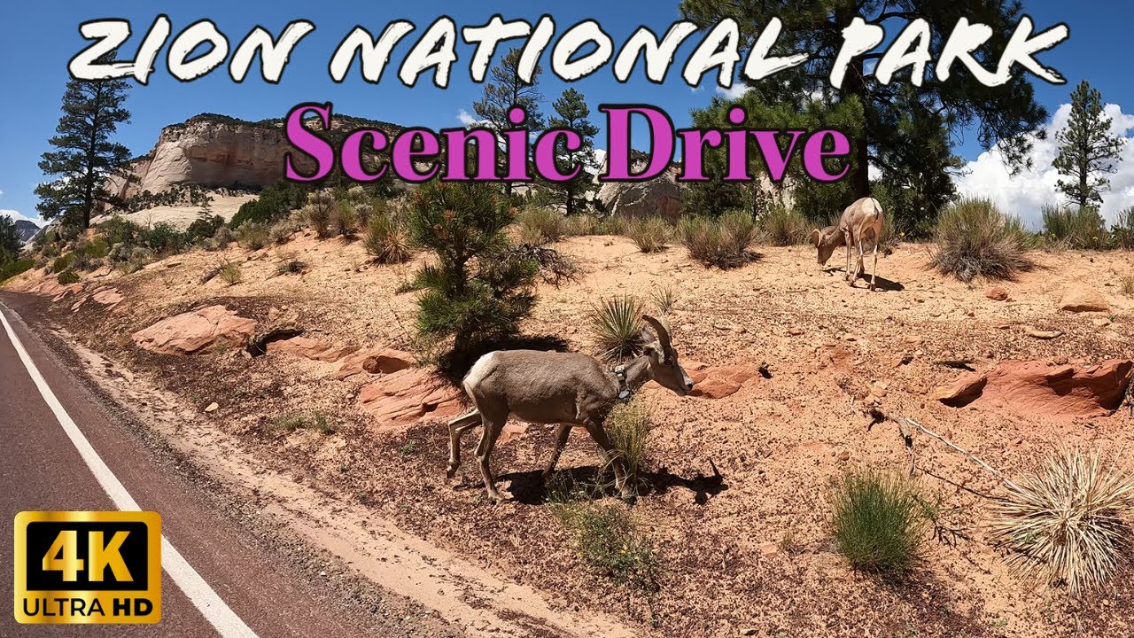 Zion National Park Scenic Drive [4K]