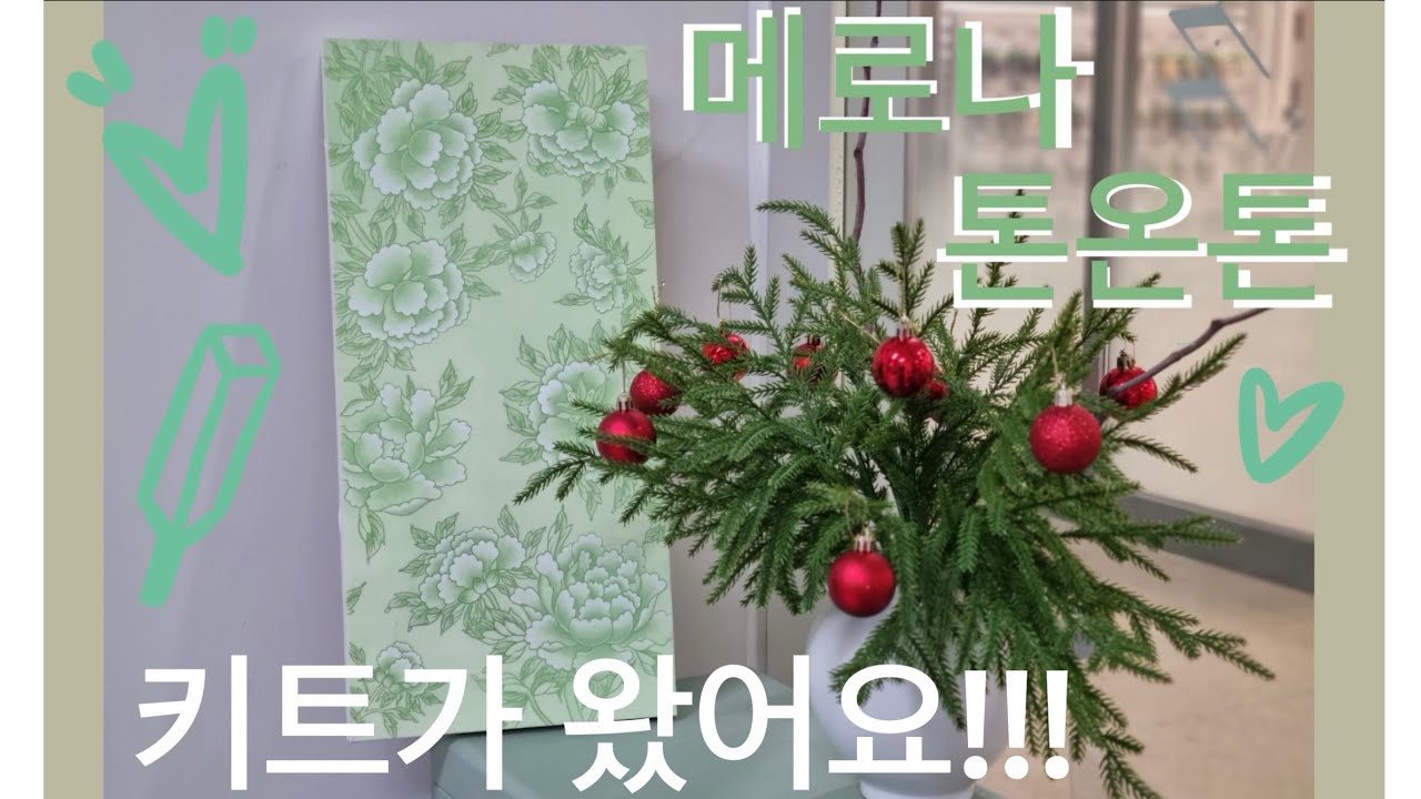 키트로 찾아온 메로나 톤온톤 모란도 입니다!!