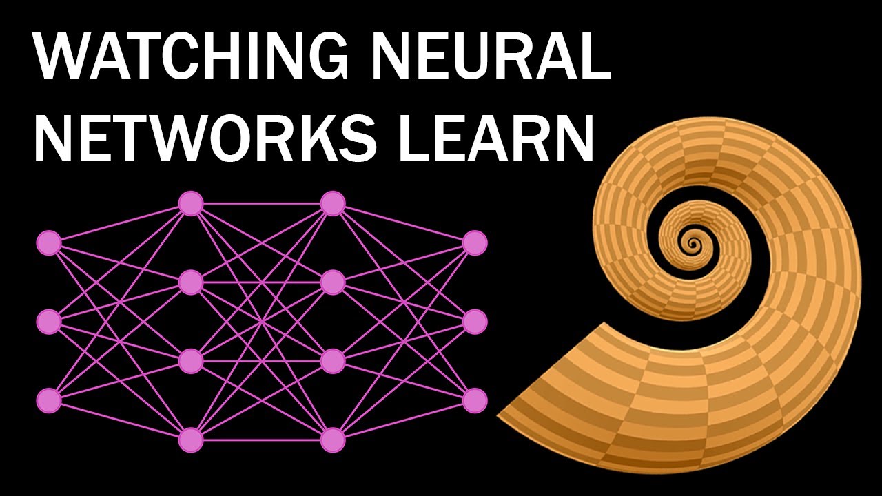 Watching Neural Networks Learn
