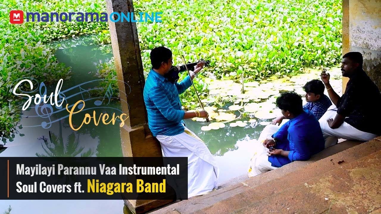 Mayilayi Parannu Vaa Instrumental Soul Covers ft. Niagara Band