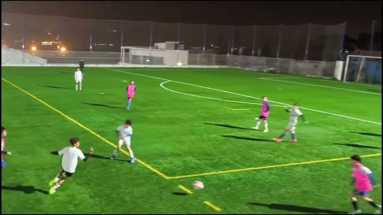 2026-02-12 Treino