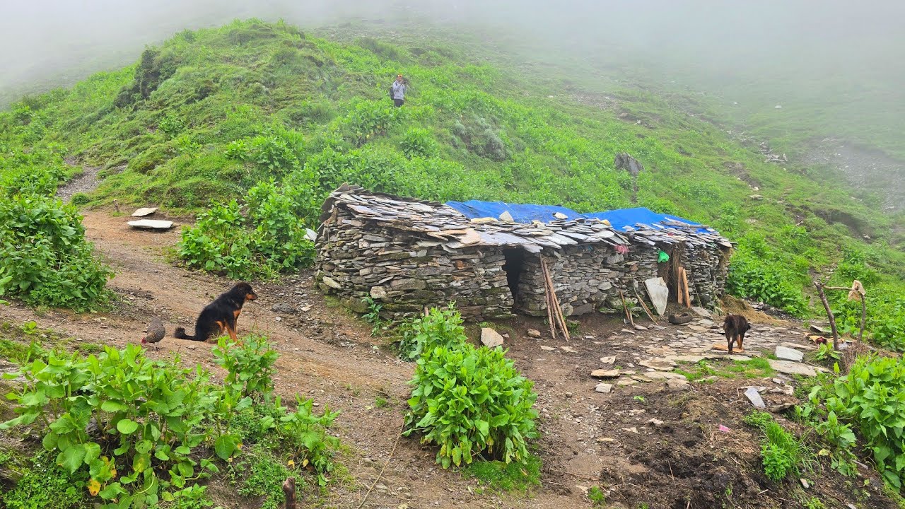 Real Himalayan Nepali Mountain Village Life During Heavy Rain | Rainy Season Documentary Video | 