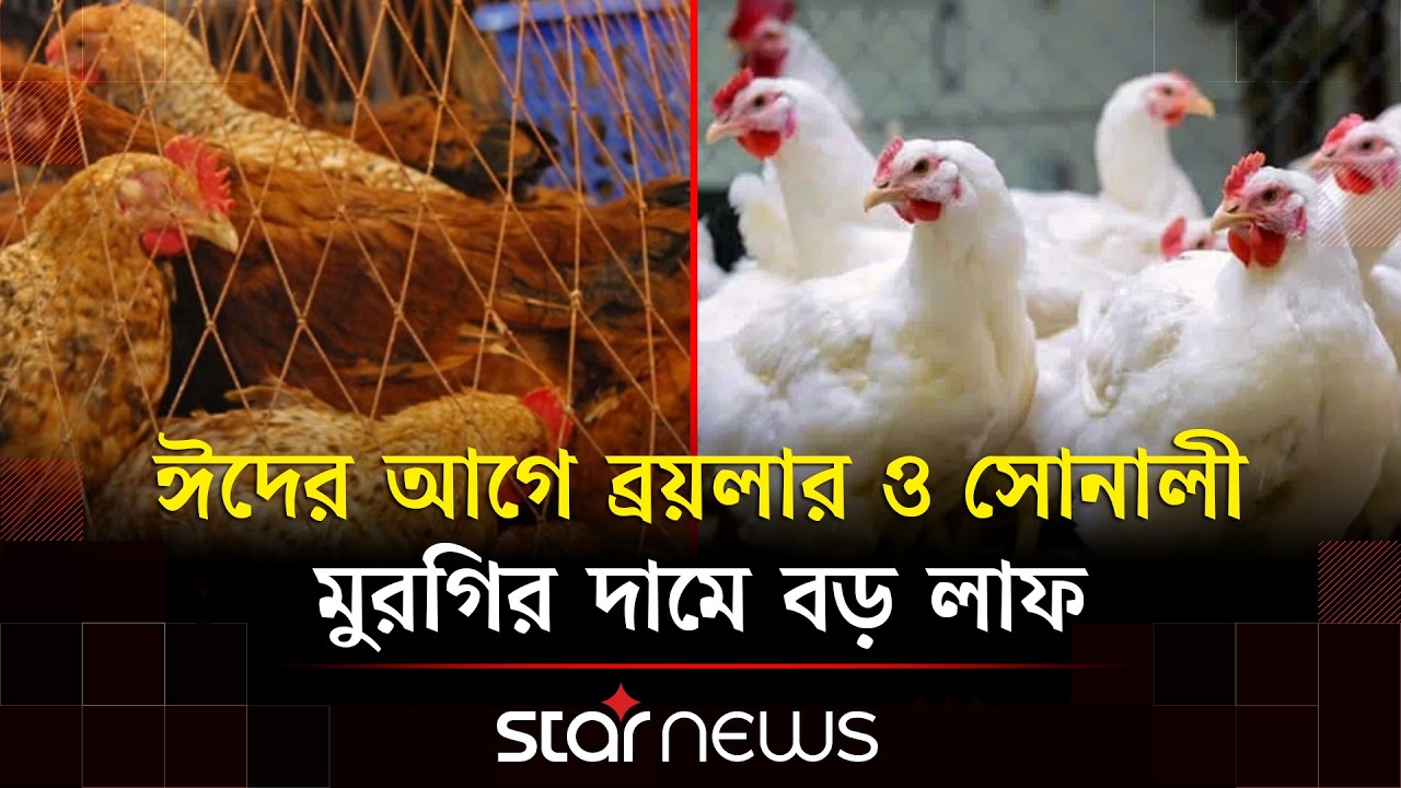 বাজারে মাংসের দামে উত্তাপ থাকলেও সবজিতে মিলেছে স্বস্তি | Chicken Price | Eid Shopping | Star News