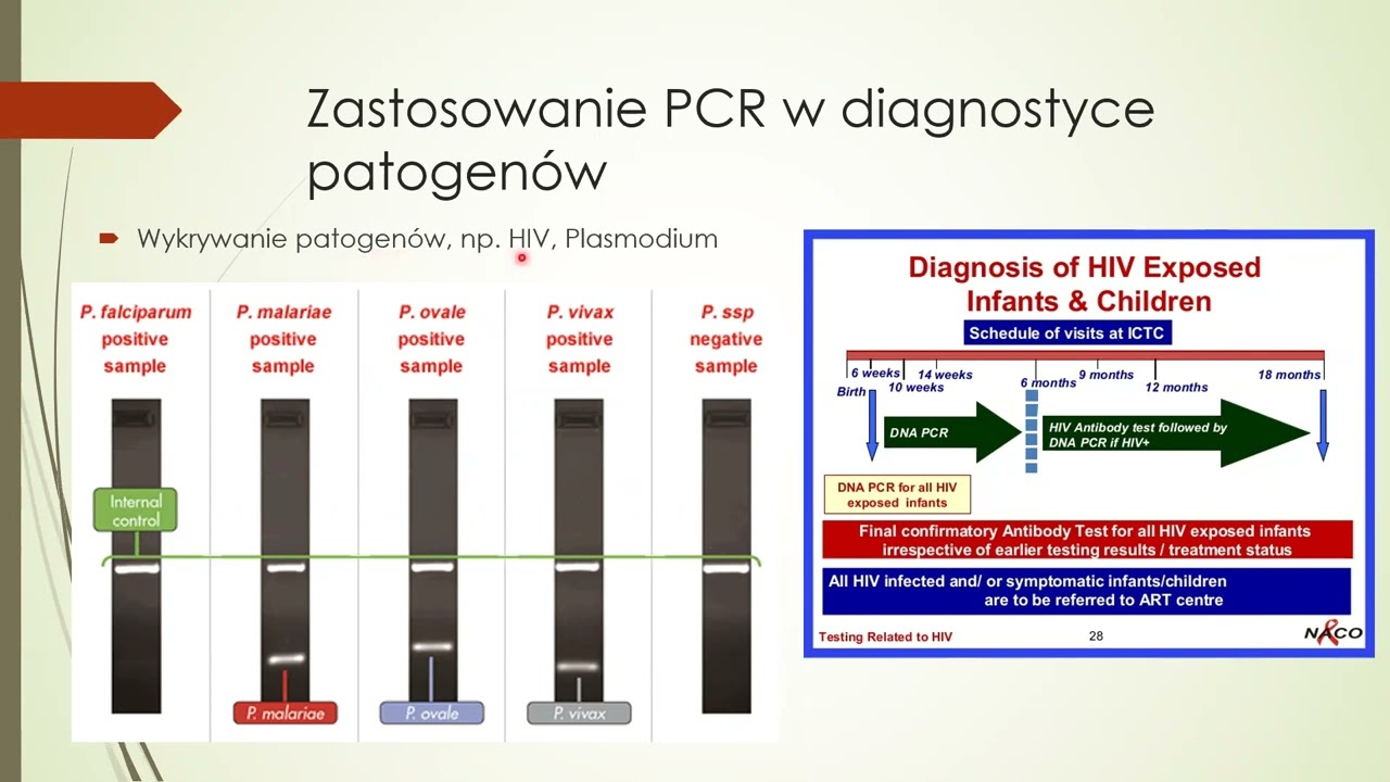 PCR i qPCR w diagnostyce. Podstawy biologii komórki nowotworowej.