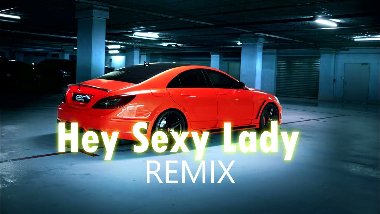 Shaggy - Hey Sexy Lady ft. Brian & Tony Gold Remix ( Lokman Karaca )#tiktok