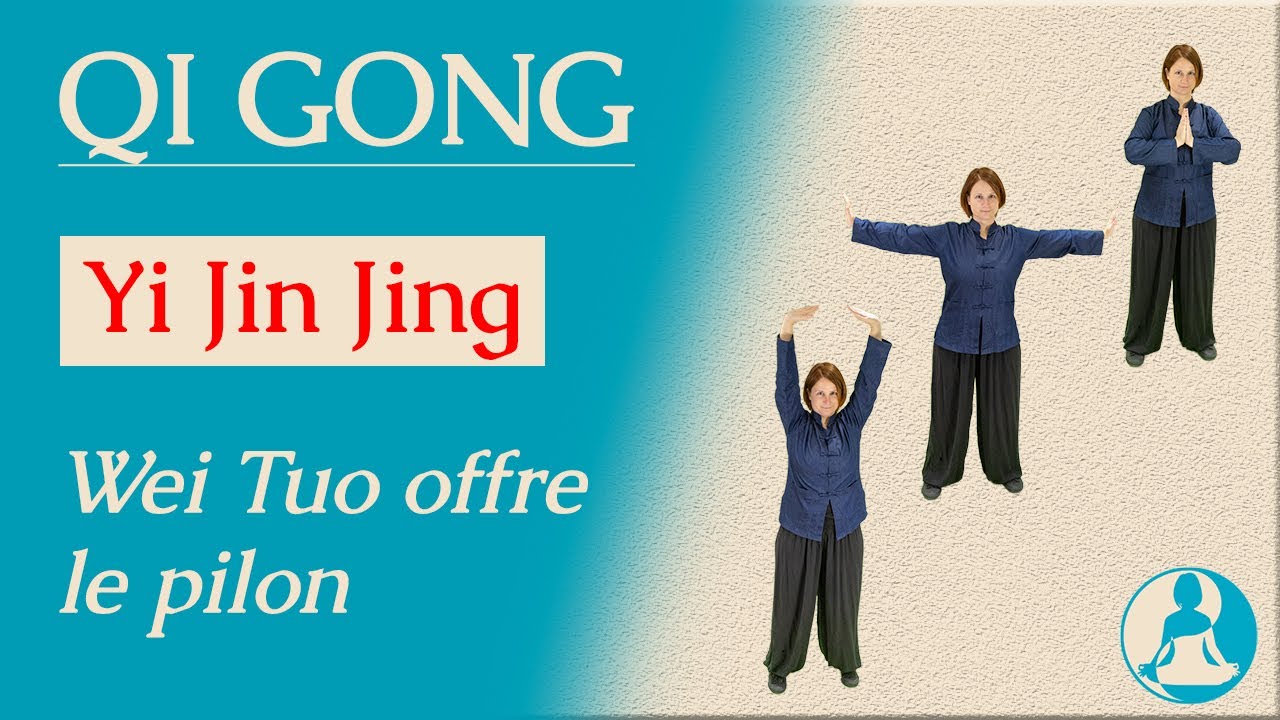Qi Gong pour les muscles et les tendons : Wei Tuo offre le pilon
