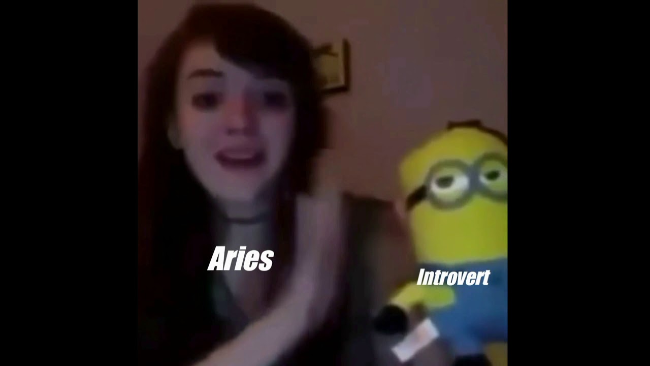 ARIES as VINES und MEMES part two! | Allie Ness
