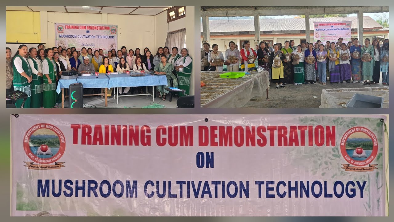 Training Cum Demonstration on Mushroom Cultivation Technology