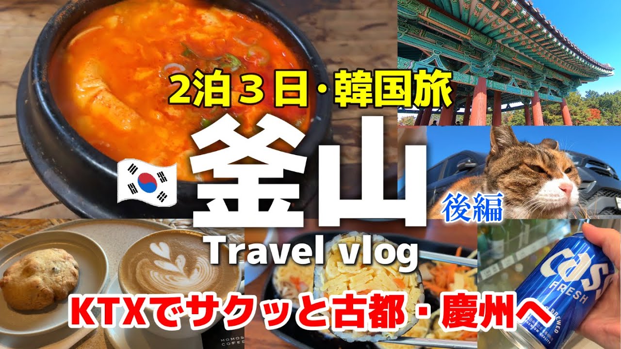 【韓国旅行 vlog】釜山🇰🇷女ひとり旅2泊3日 |古都・慶州へサクッとお出かけ！過去1番美味しいビビンバを満喫！身も心も満たされた…後編 