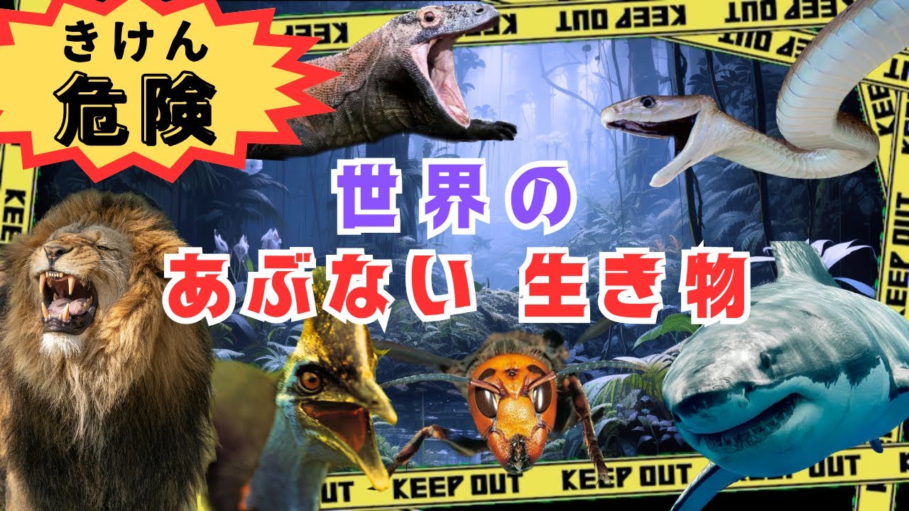【世界の危険生物】赤ちゃんから子供まで楽しめる！危険な生き物が大集合！