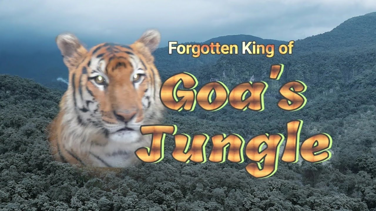 Forgotten King of Goa's Jungle |ROAR PRODUCTION