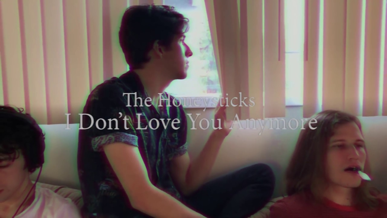 The Honeysticks - I Don't Love You Anymore