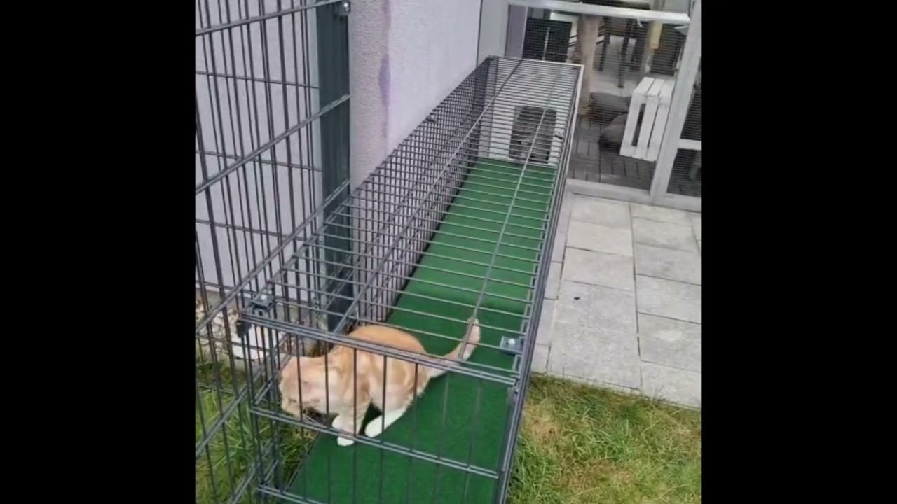 Katzen Outdoor Gehege