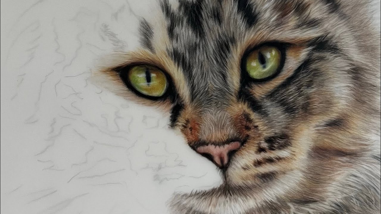 Another cat drawing! 2