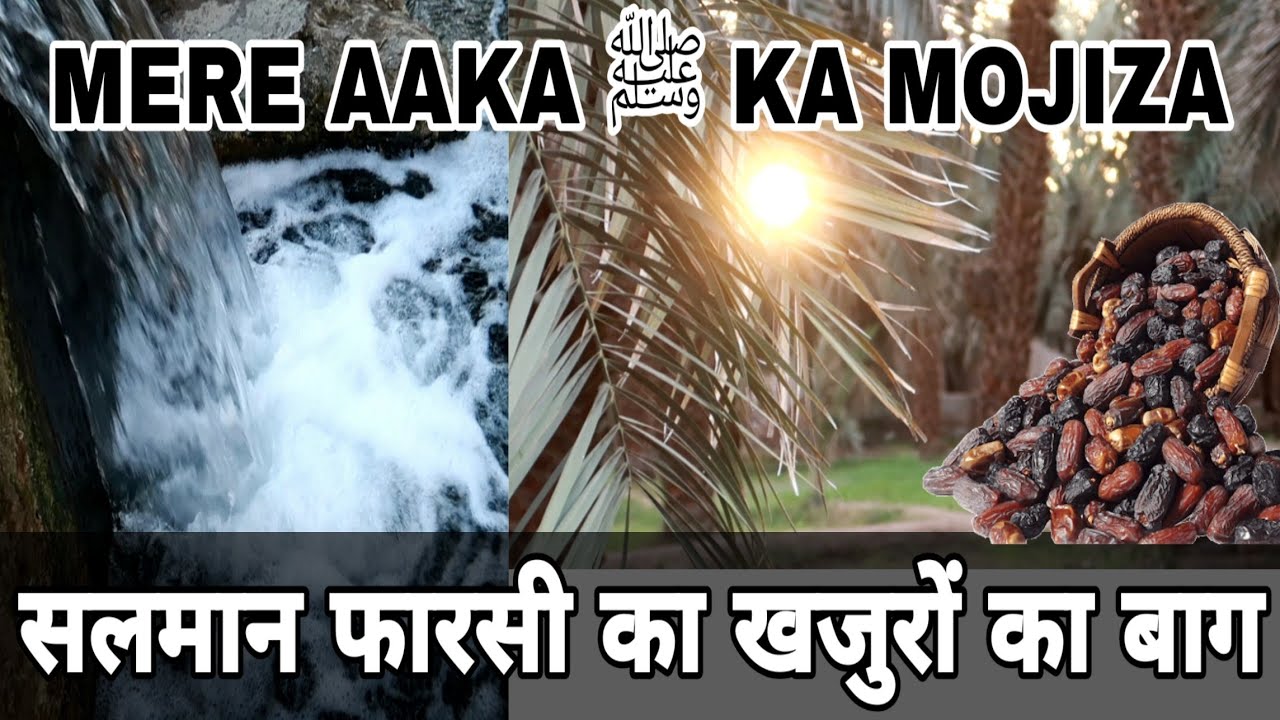 Mere Aaka ﷺ ka mojiza | Salman farsi ka khajuro ka baag | madina sharif ziyarat | Mohsin Raza Qadri