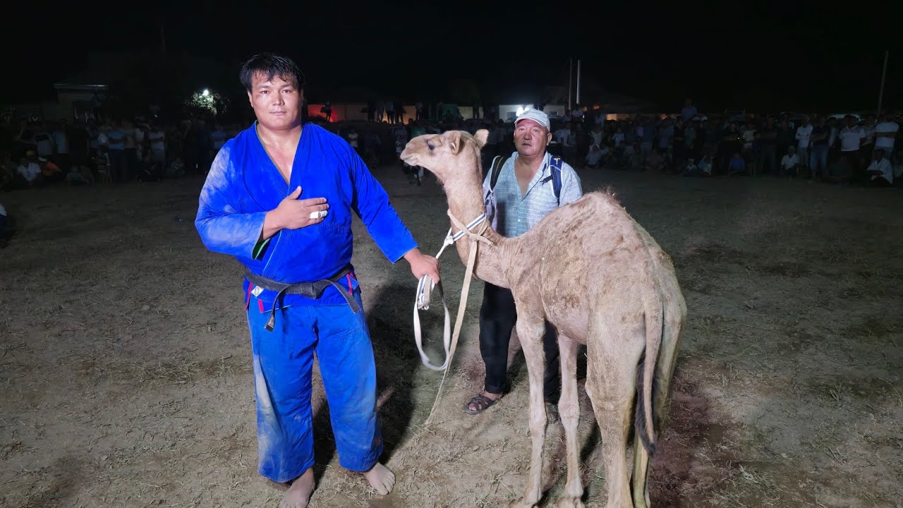 SHAXRUX BAXTIYOROV AKMAL JURA SUXROB JAVOXIR MUBARAK  KURASH TOVOQLAR 14.07.2024 YIL