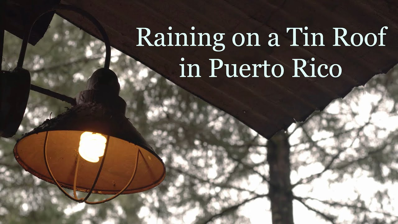 Relaxing Rain Sounds for Sleeping - Rain in Tin Roof with Coqui Frogs