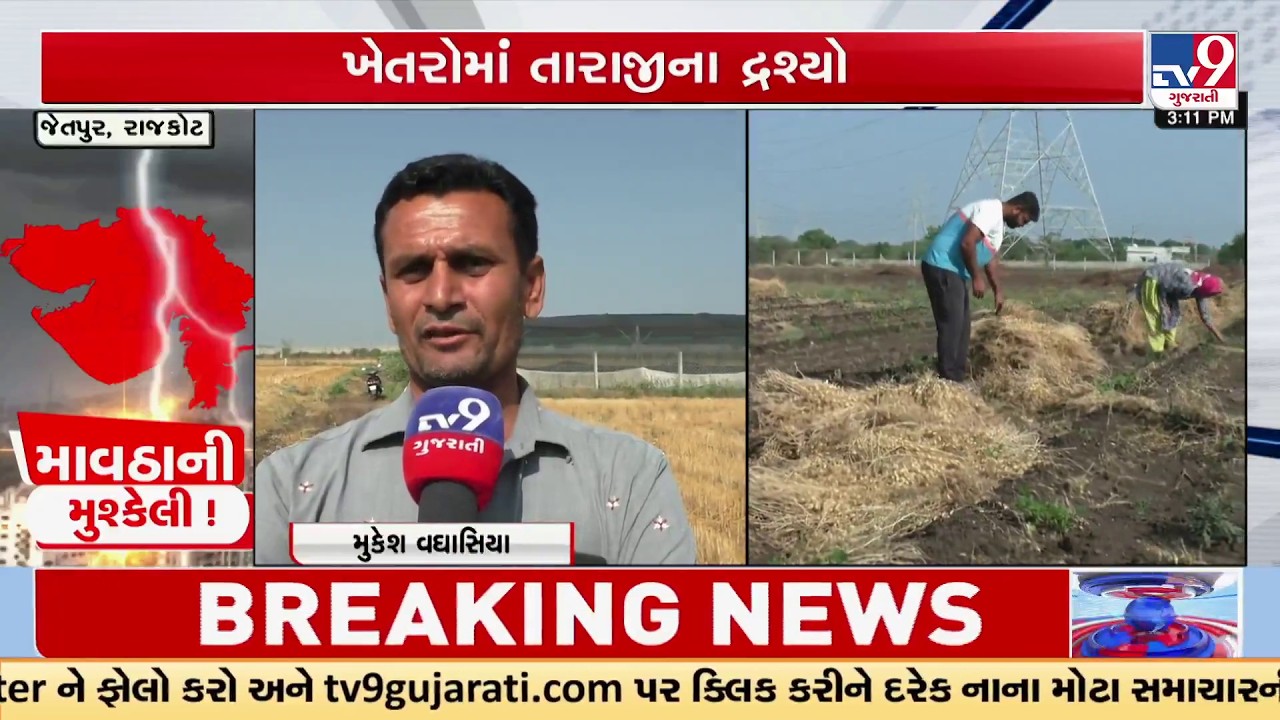 Rajkot Farmers Devastated: Unseasonal Rain Destroys Wheat & Cumin Crops | TV9Gujarati