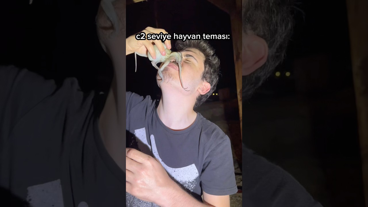 c2 seviye hayvan teması #akım #akımvideoları #keşfet