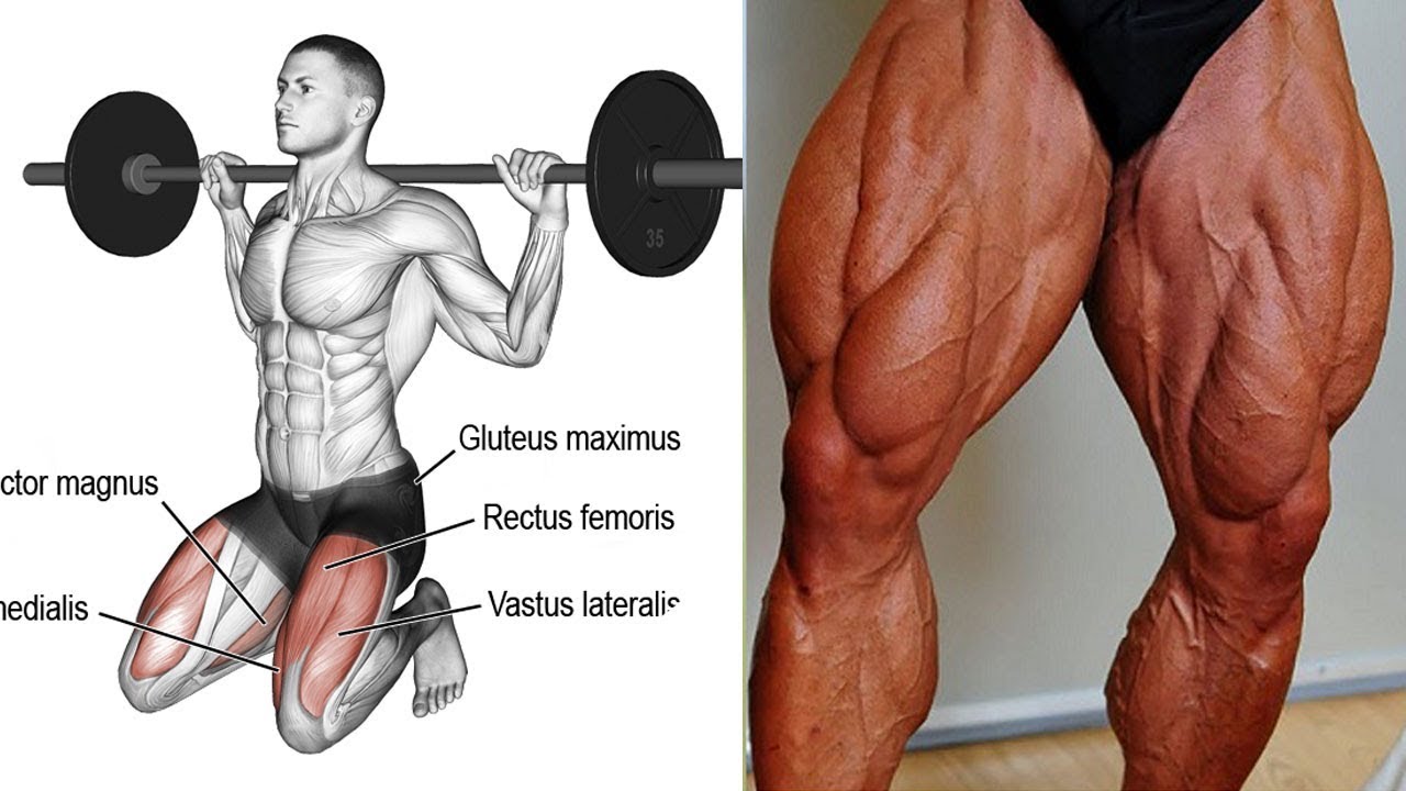 13 تمارين الارجل (الأفخاد)  كمال الاجسام - استهداف جميع زوايا الارداف