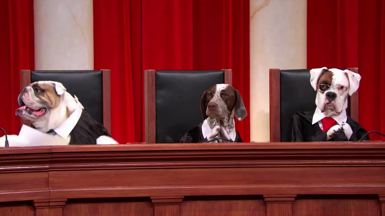 Obergefell v. Hodges: Oral Argument - April 28, 2015 (Part 1)