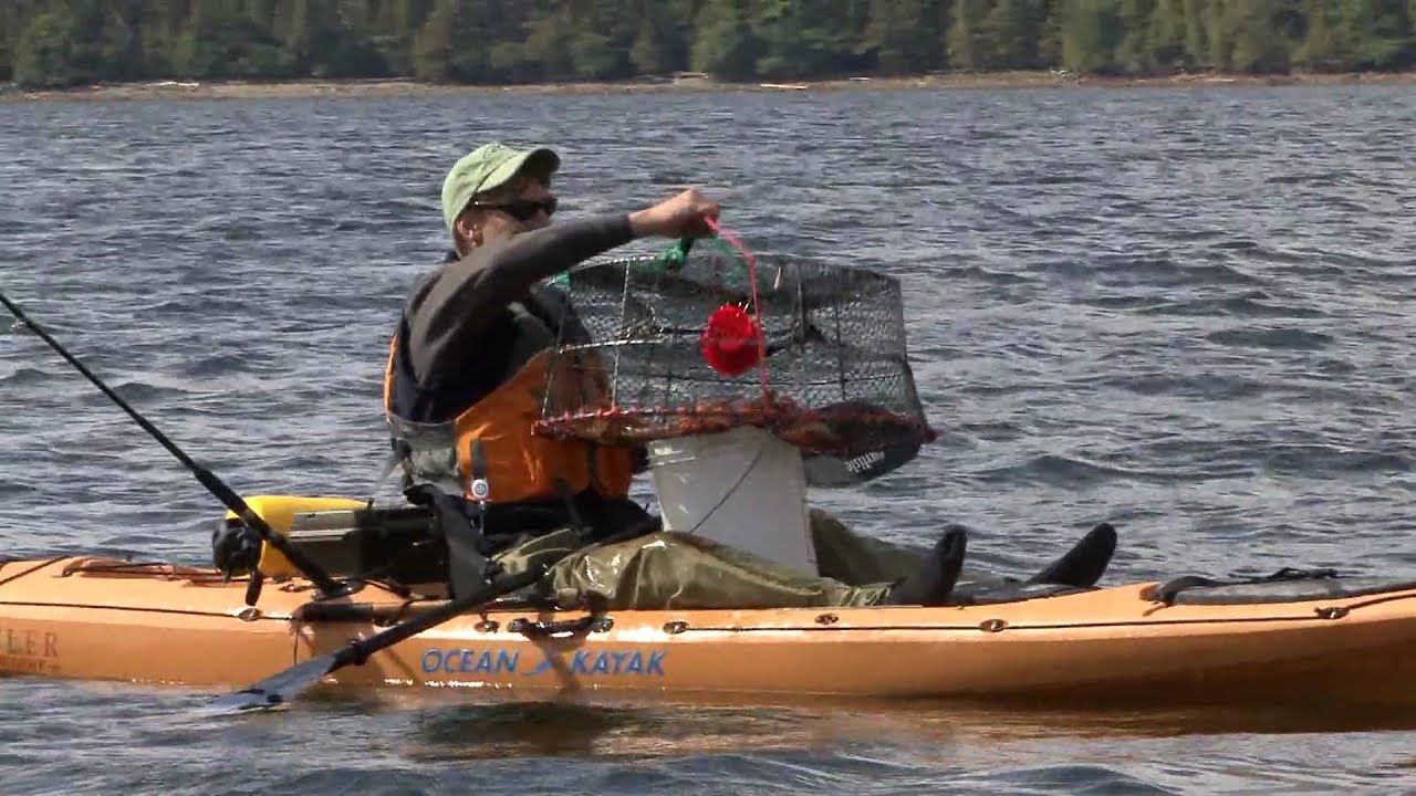 Shrimping From Your Kayak