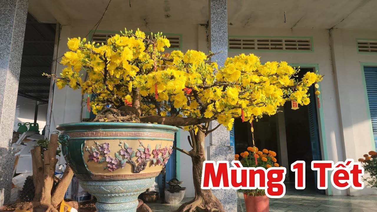 Mùng 1 Tết - Kính Chúc Mọi Người Nhiều Sức Khỏe