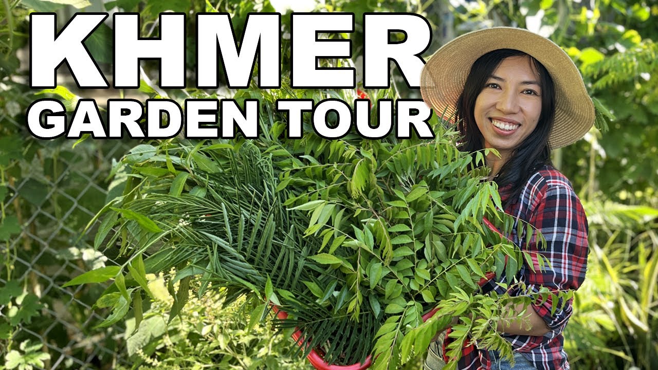 Abandoned Garden Growing Traditional Khmer (Cambodian) Food