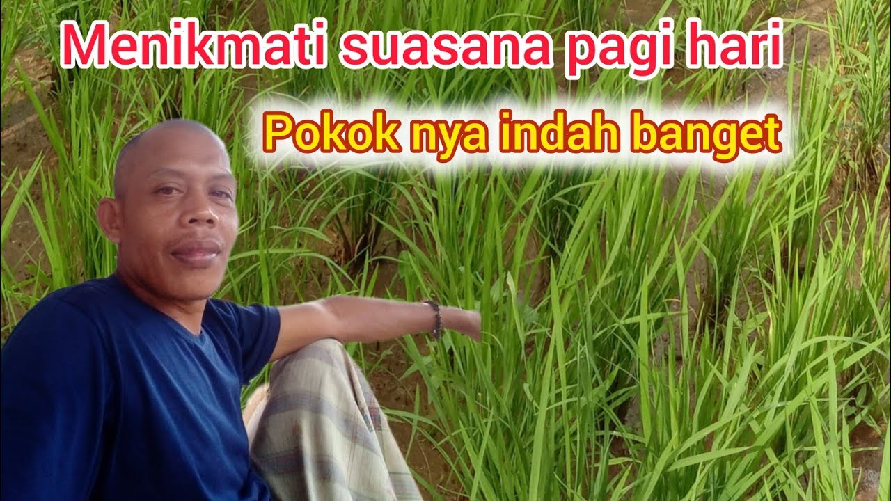 Siap kerja di sawah #pesawahan #perkampungan sunda#alam indah