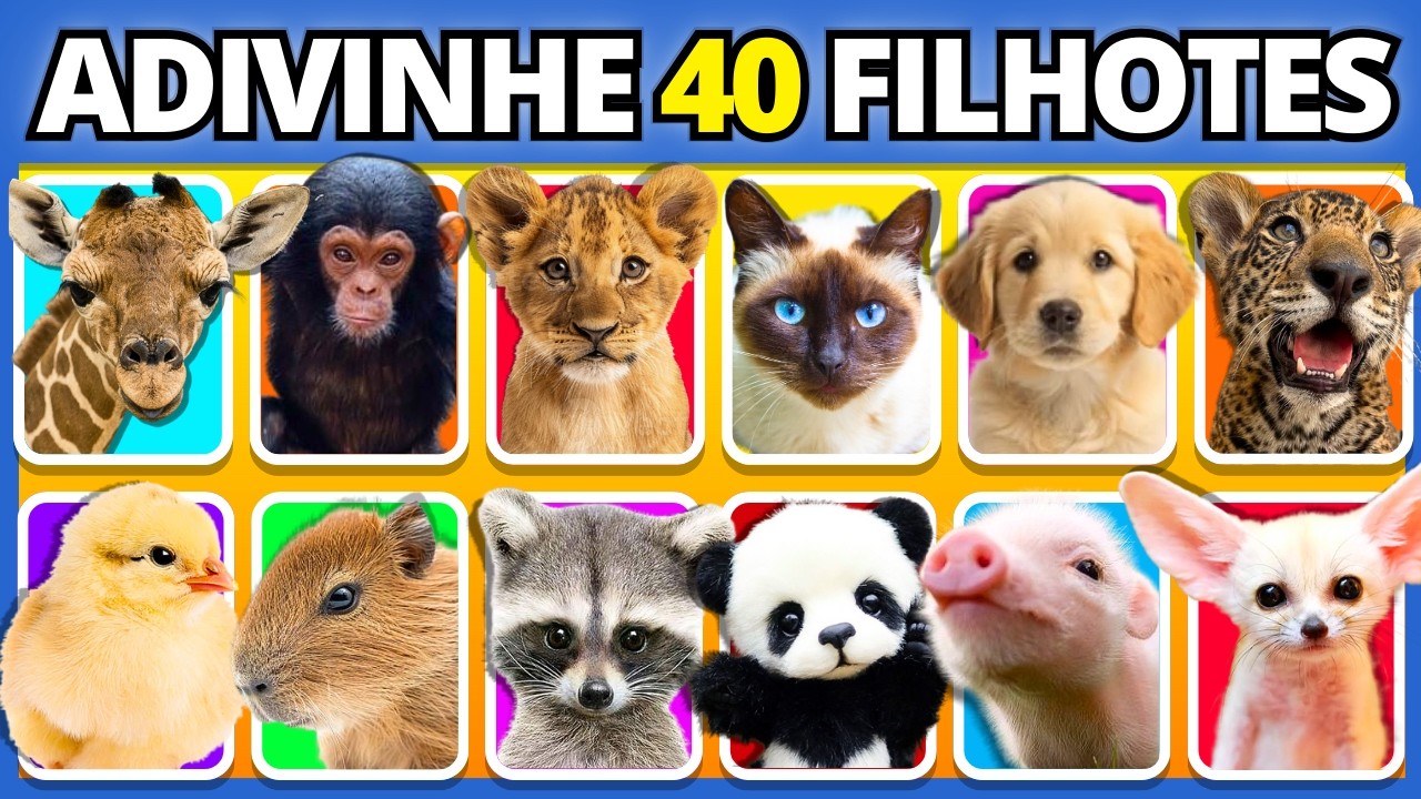 🍼🐷 ADIVINHE OS 40 FILHOTES DE ANIMAIS | Filhotes Bebês | #buuquiz #quiz #animais