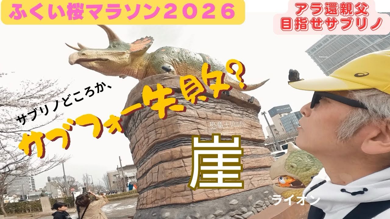 ＃７９　サブフォー目指して、第３回ふくい桜マラソン２０２６に参加しました！#ふくい桜マラソン2026 #オヤジランニング #富山ランニング #サブフォー