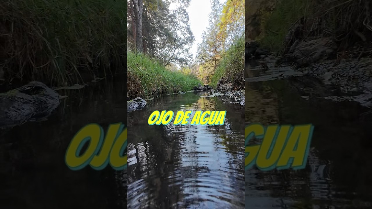 Aqui nace el agua. 💧🌎 #ojodeagua