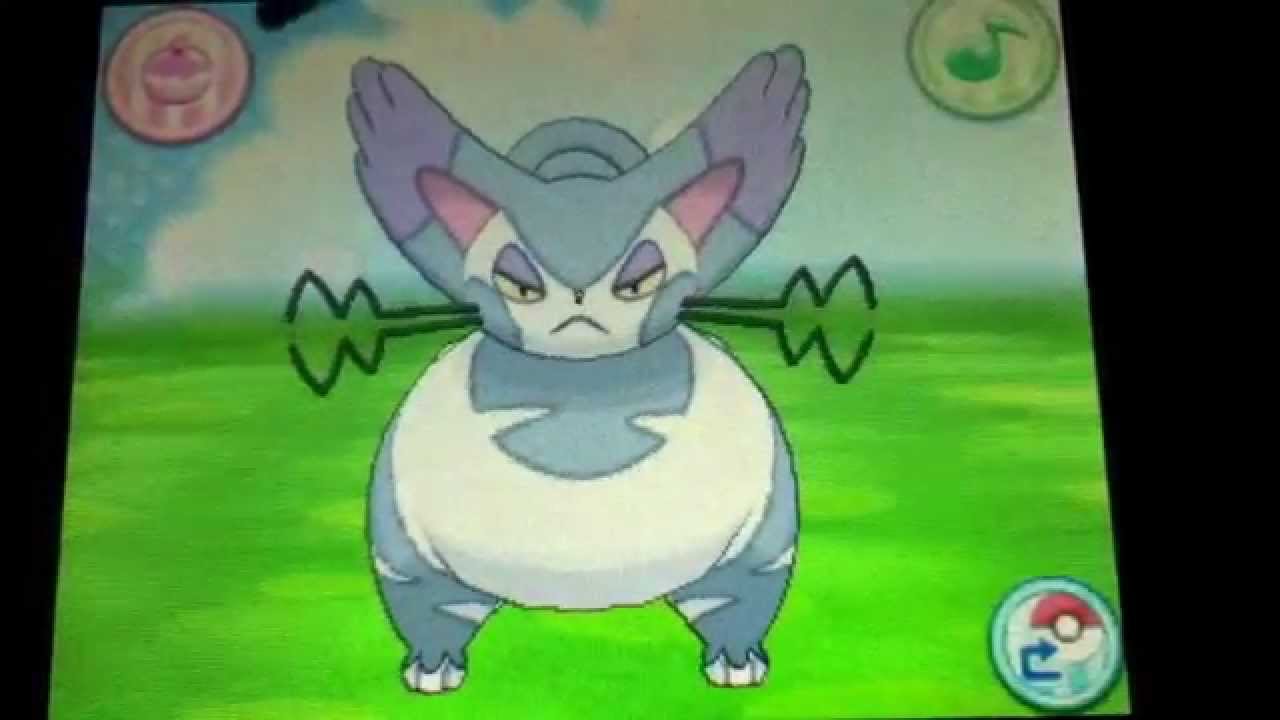 Purugly - Pokemon Amie