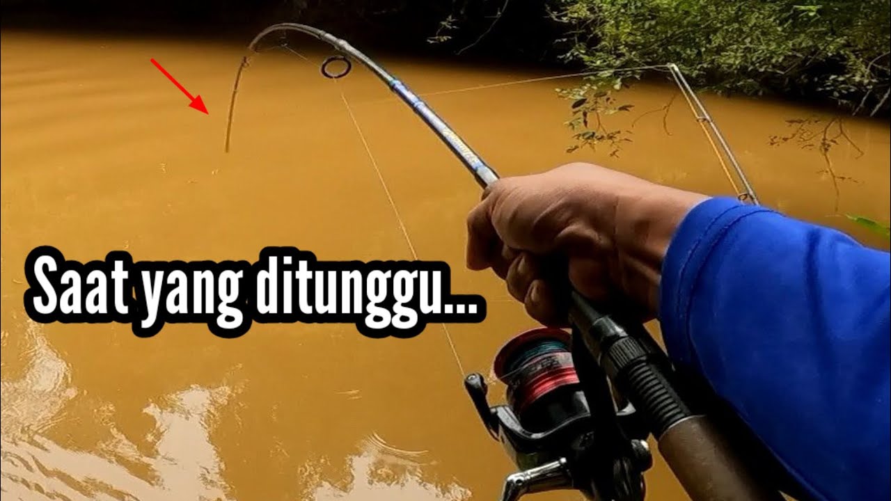 Tenggalan galak❗bila air mula surut❗memancing di kuala sungai jempul